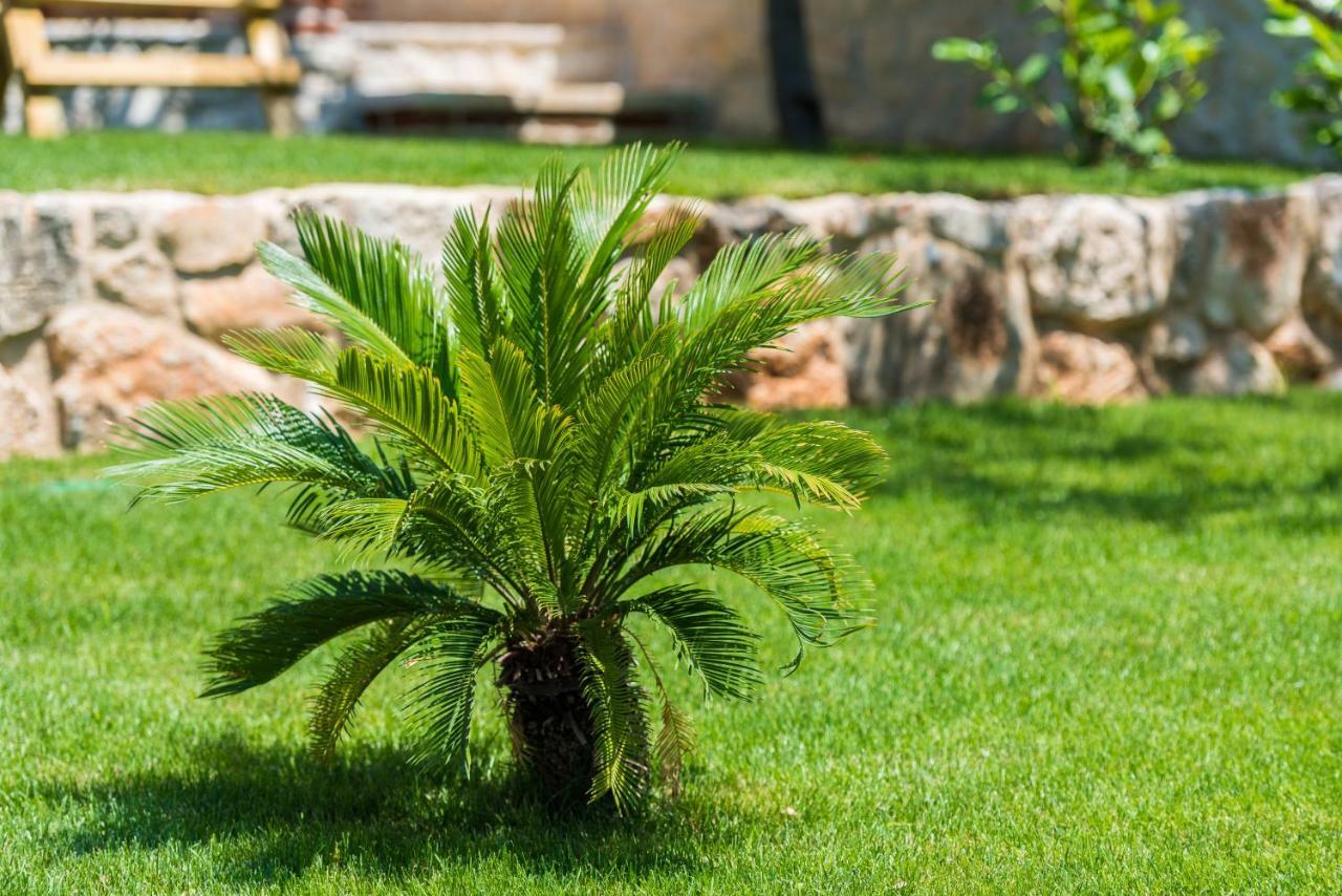 Villa Dumina Sukošan المظهر الخارجي الصورة